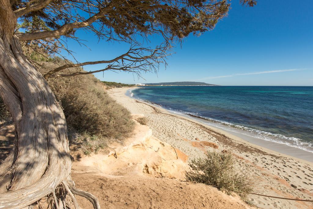 Confort Formentera
